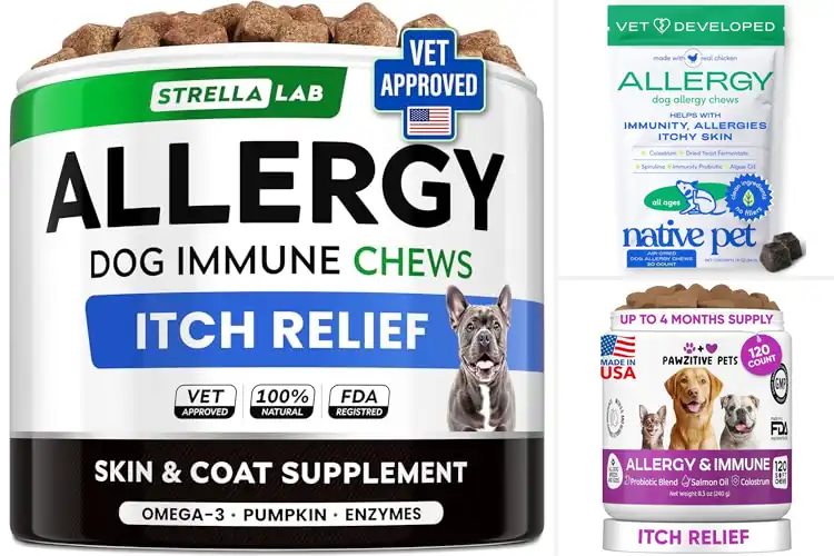Detailed view of Best Allergy Reliefs for Pets: Quick Comfort Solutions