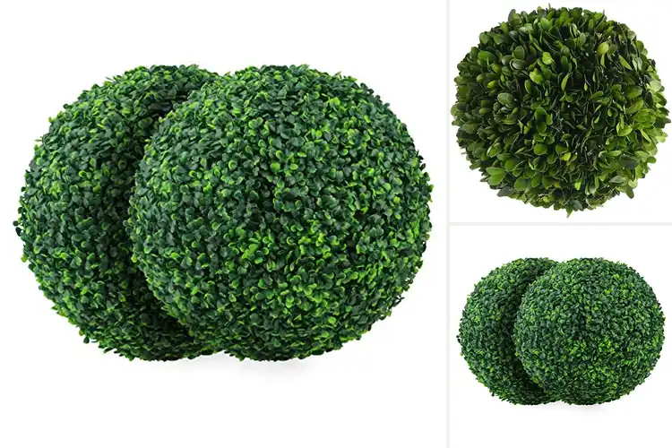 Detailed view of Best Boxwood Balls