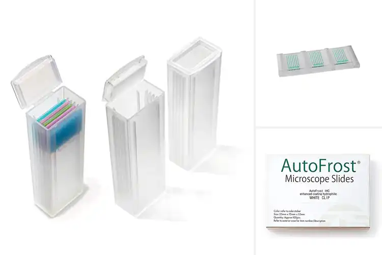 Detailed view of Best Diagnostic Slides