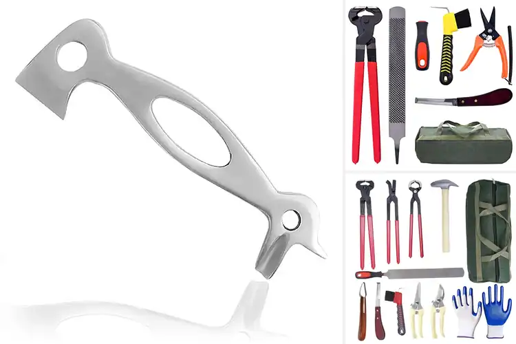 Detailed view of Best Educational Farrier Tools