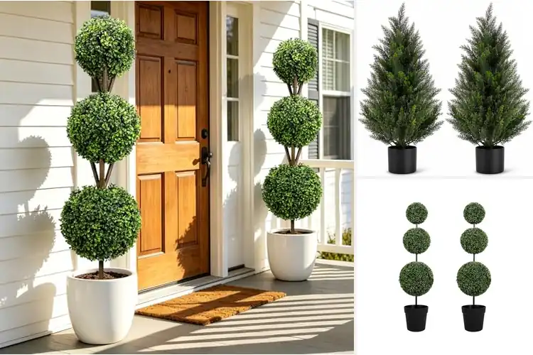 Detailed view of Best Front Porch Topiaries