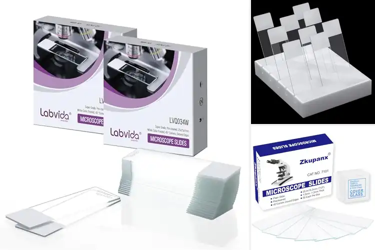 Detailed view of Best Hematology Microscope Slides