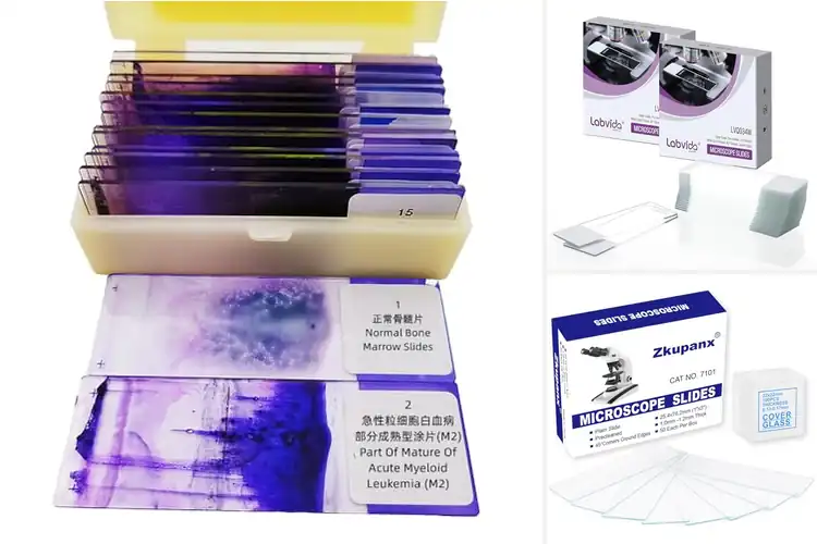 Detailed view of Best Hematology Slides for Clear, Confident Learning