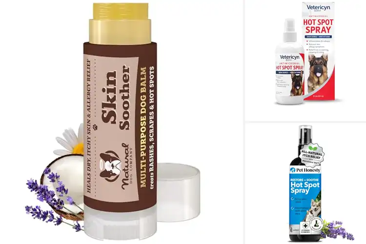 Detailed view of Best Hot Spot Soothers: Top Picks for Fast Dog Relief
