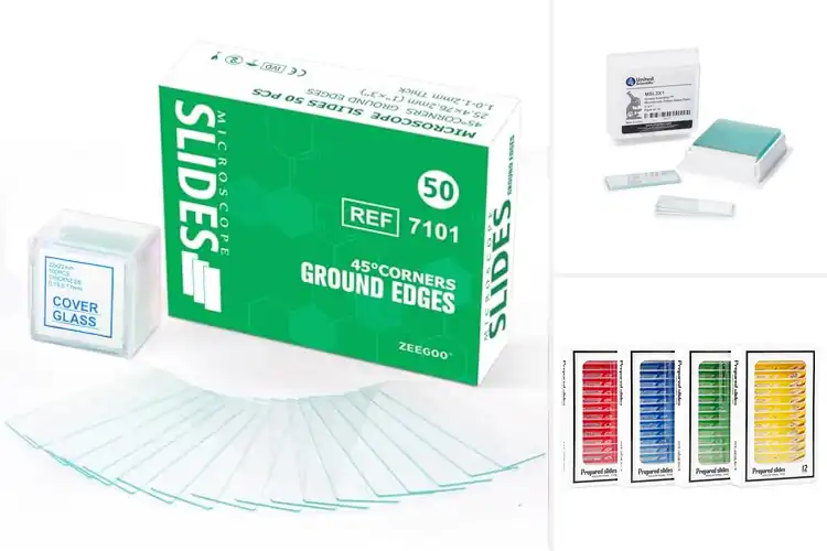 Detailed view of Best Lab Slides: Top Picks for Clarity, Safety & Durability