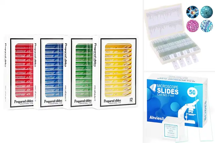 Detailed view of Best Microscope Slides For Education