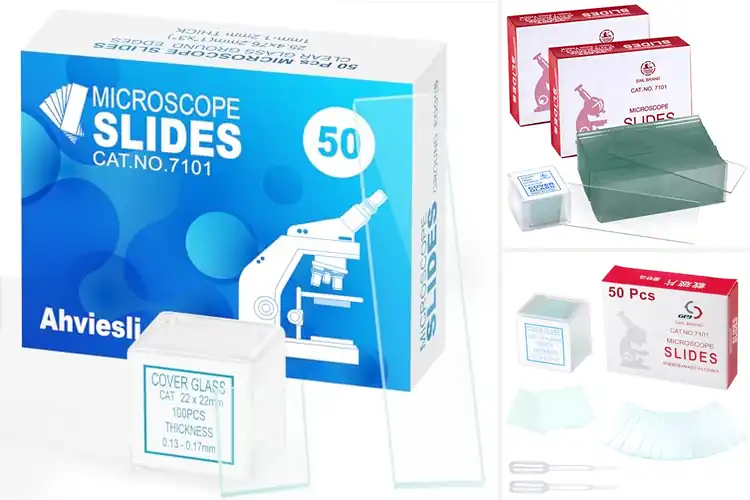 Detailed view of Best Microscope Slides For Sickle Cell