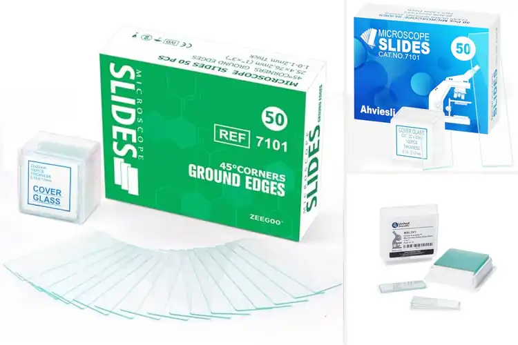 Detailed view of Best Microscope Slides