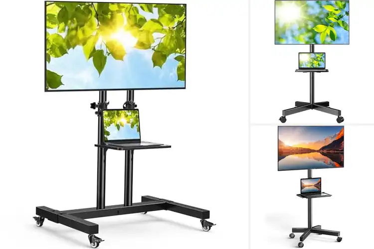 Detailed view of Best Mobile TV Carts