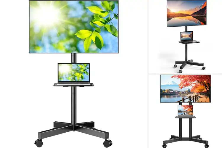 Detailed view of Best Mobile TV Stands