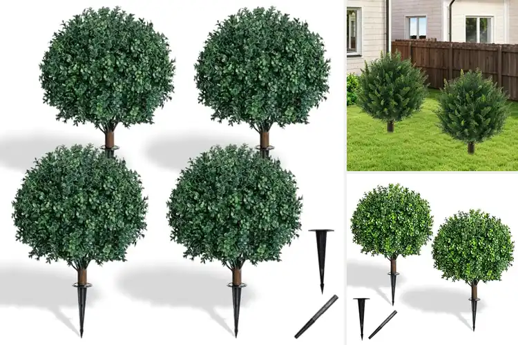 Detailed view of Best No Maintenance Topiaries