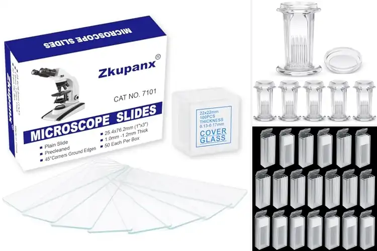 Detailed view of Best Pathology Lab Supplies: Top Picks for Precision & Value