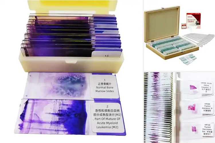 Detailed view of Best Prepared Hematology Slides