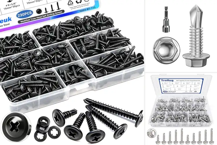 Detailed view of Best Self-Tapping Screws
