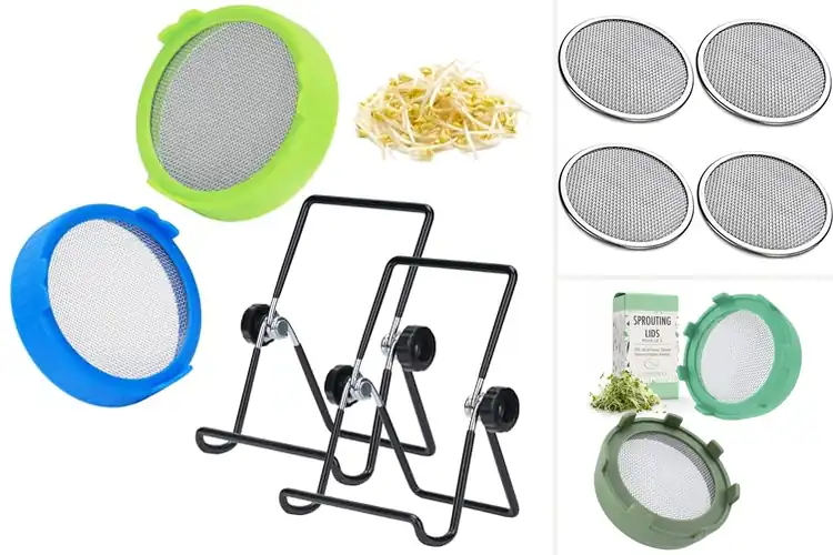 Detailed view of Best Solid Screen Lids for Easy, Clean Sprouting