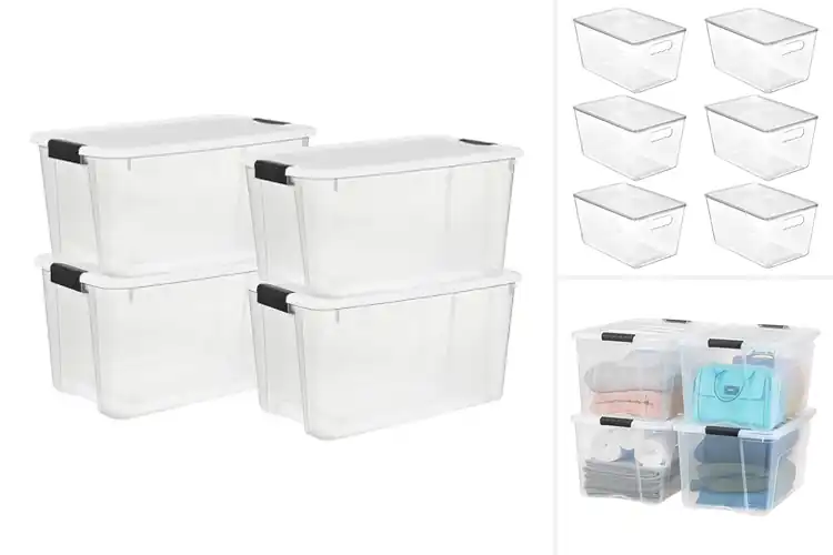 Detailed view of Best Transparent Storage Containers