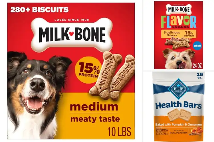 Detailed view of Best Treat Biscuits: Top 10 Healthy & Delicious Dog Treats