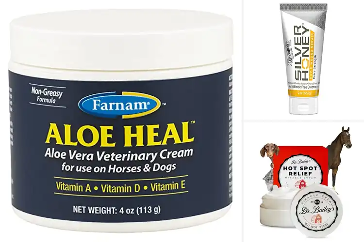 Detailed view of Best Veterinary Creams for Quick, Gentle Healing