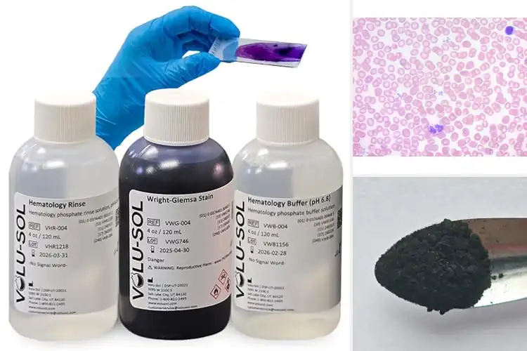Detailed view of Best Wright Stain Blood Smear Slides