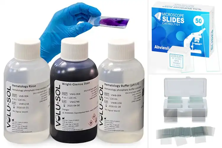 Detailed view of Best Wright Stain Microscope Slides